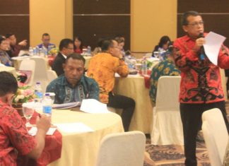 Perekonomian Papua Tumbuh 4,78 Persen