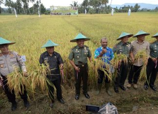 Ikut Panen Raya, Aster Kasad Ajak Petani Tingkatkan Produksi Pangan