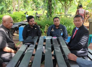 Pemprov Papua Berniat Aktifkan Rute Penerbangan Biak-Honolulu