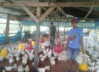 Satgas Yonif Raider 501/Kostrad Turut Tingkatkan Ekonomi Rakyat