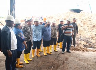 Kabupaten Penghasil Sagu Didorong Buat Home Industri