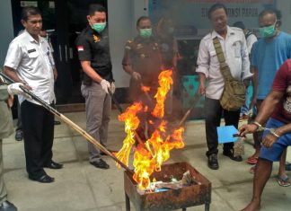 BNN Musnahkan Ganja dan Shabu