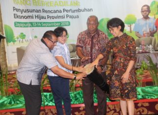 Pemprov Susun Masterplan dan Road Map Ekonomi Hijau