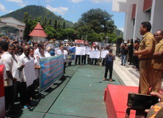 Papua Tunggu Informasi Penerimaan CPNS dari Kemenpan