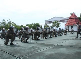 Pemda Diminta Tingkatkan Kemampuan Satuan Linmas