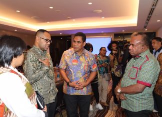 Ini Penyebab Smelter Tidak Dibangun di Papua