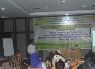Pembangunan Sektor Industri di Papua Sangat Rendah