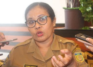 2019, Pemprov Papua Dorong Kerjasama Dengan Fiji