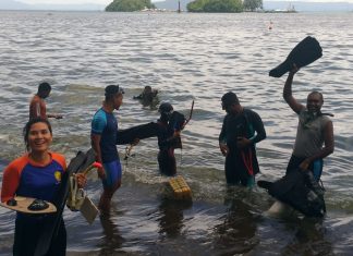 KONI Papua Siapkan Seribu Atlet Untuk PON