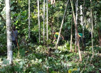 Satgas Pamtas Yonif PR 328/DGH Ajak Warga Olah Lahan Tidur