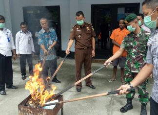 Bersama BNN Jayapura, Satgas Pamtas Yonif 328/DGH Musnahkan Ganja