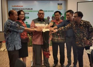 Bappeda Papua Susun Masterplan Dan Roadmap Pertumbuhan Ekonomi Hijau